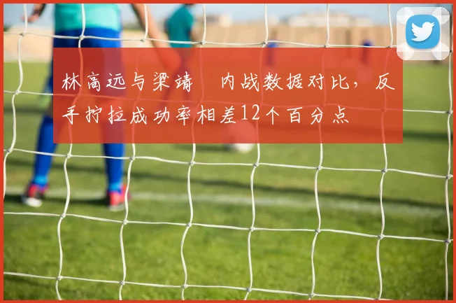 林高远与梁靖崑内战数据对比,反手拧拉成功率相差12个百分点