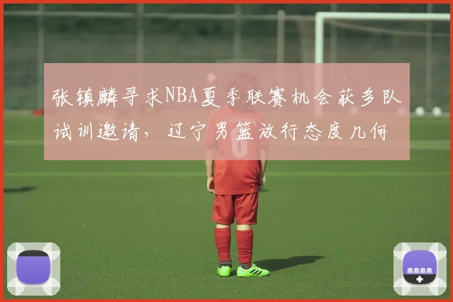 张镇麟寻求NBA夏季联赛机会获多队试训邀请,辽宁男篮放行态度几何?